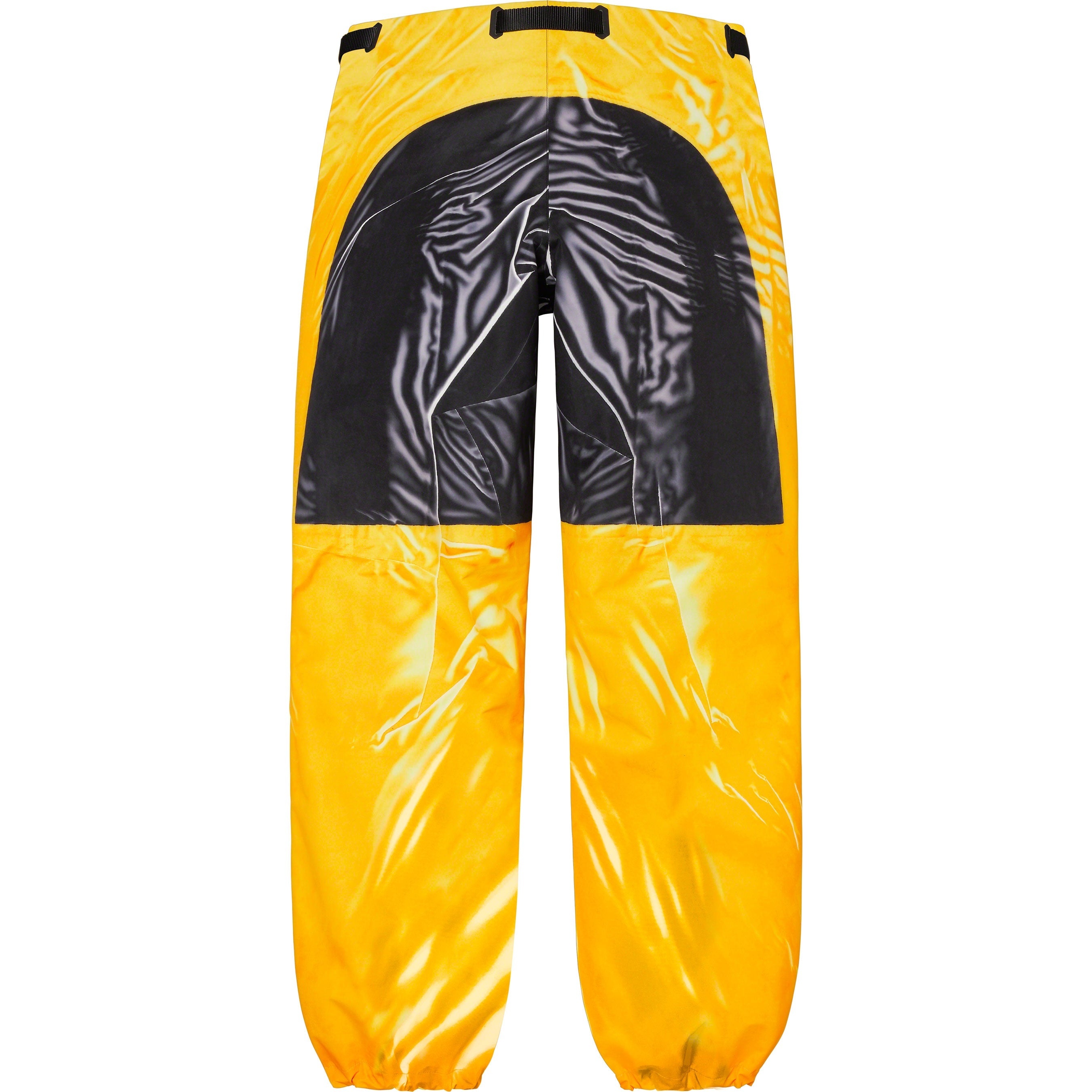 Supreme®/The North Face® Trompe L’oeil Printed Mountain Pant view 9